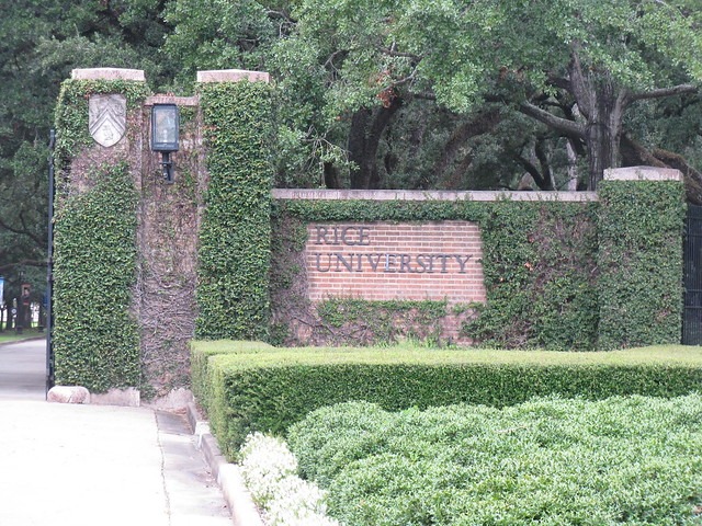 Ivy covered fence of Rice University